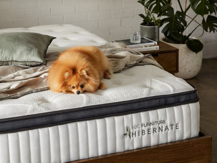 How to Choose A Mattress When Upgrading